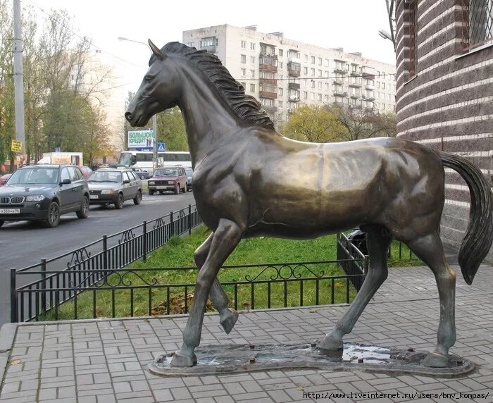 Памятник лошади проспект ветеранов Питер. Памятник лошади в Питере. Кони в СПБ памятники.