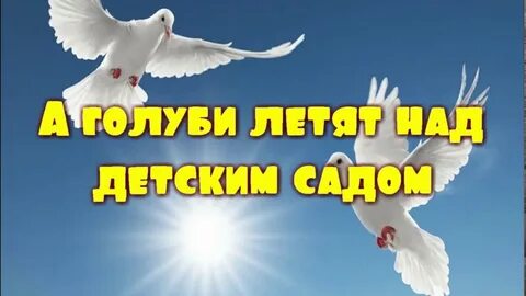 Шансон белых голубей