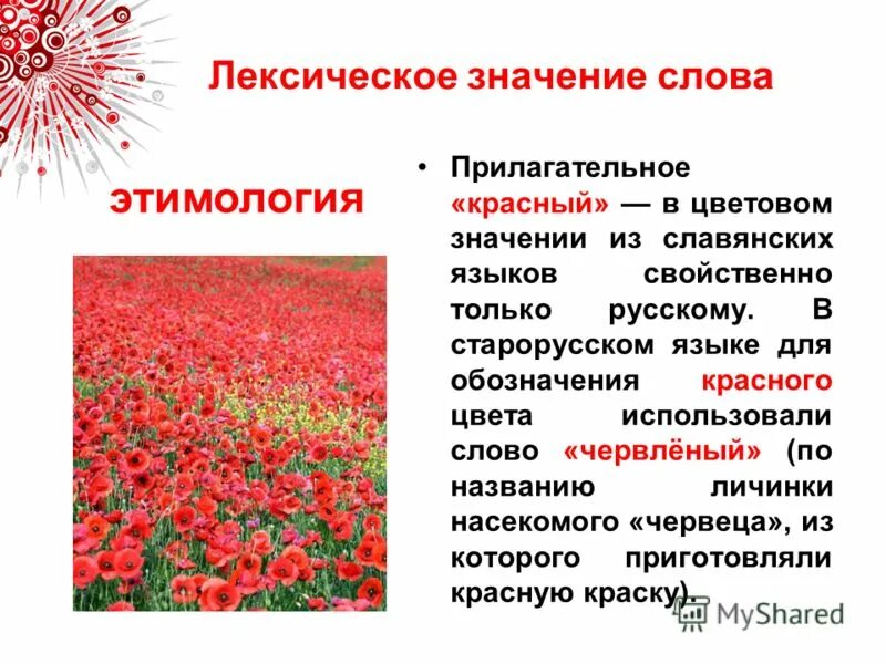 прилагательное к слову цвет