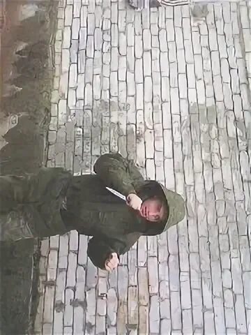 Стрельцов великие луки. Стрельцов великие луки