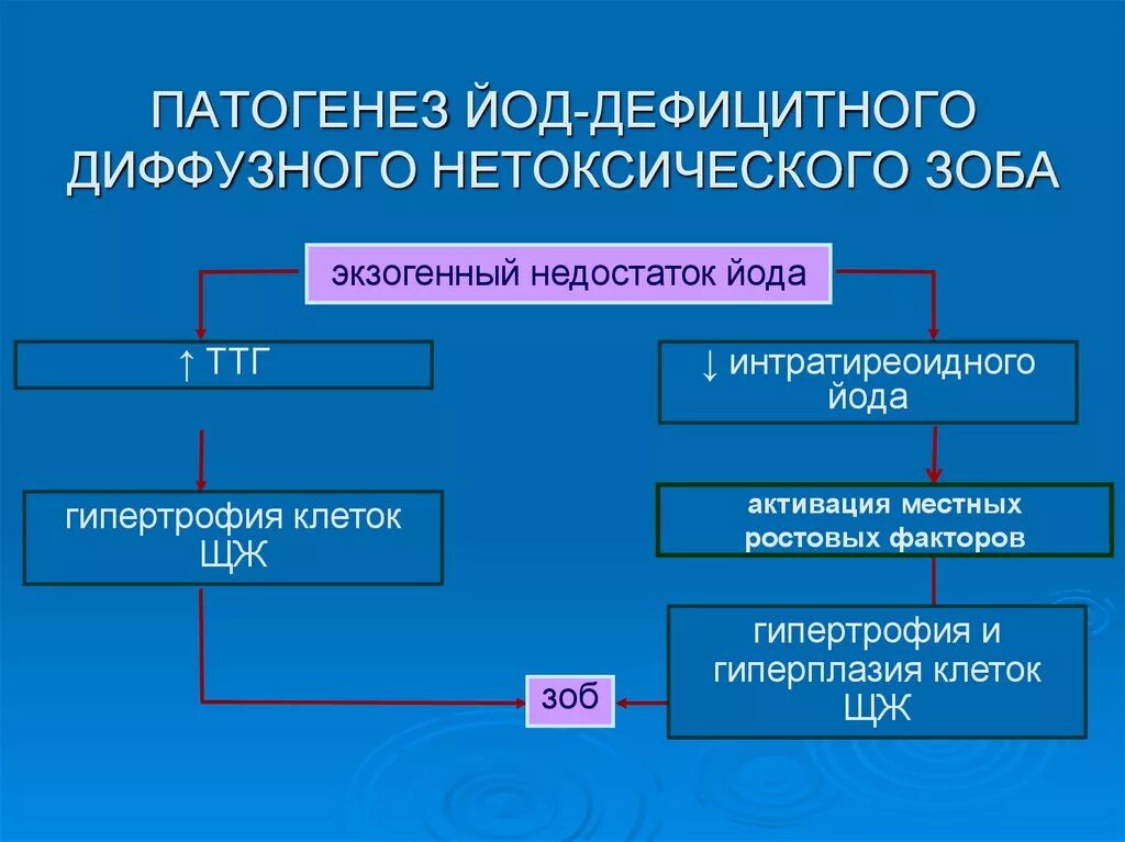 Диффузный нетоксичный. Патогенез йододефицитных заболеваний. Эндемический зоб патогенез. Зоб щитовидной железы патогенез. Диффузный нетоксический зоб патогенез.