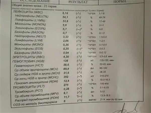 Анализ крови lym повышен у женщин. LYM В анализе крови. LYM В анализе крови норма. WBC LYM В анализе крови. Общий анализ крови расшифровка LYM что это.