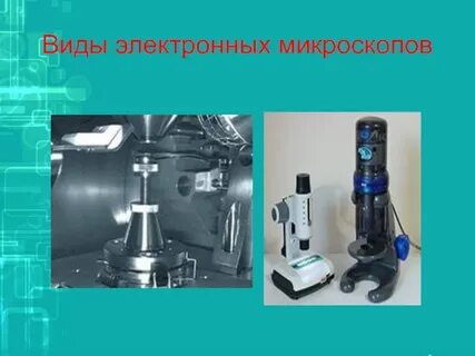 Виды микроскопов и их особенности