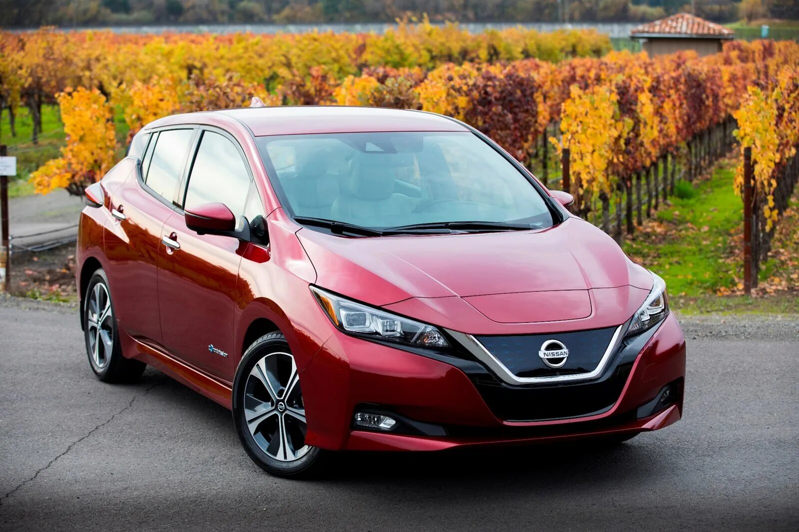 Nissan leaf 2019. Ниссан лиф z1. Nissan leaf ze1. Nissan leaf nismo 2020. Leaf 2.