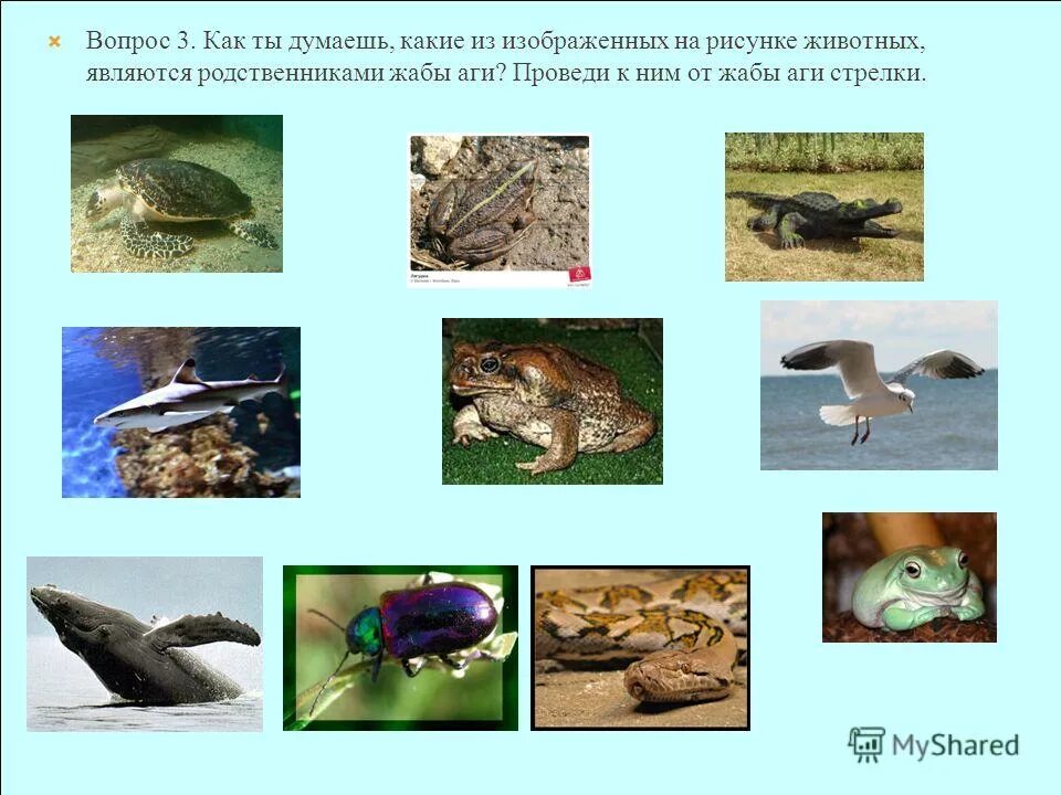 Как ты думаешь какие. Какие правила появились в xx-xxi века. Представь картинка. Зачем нам нужны летописи. Какие правила этикета появились на 20 21 века.