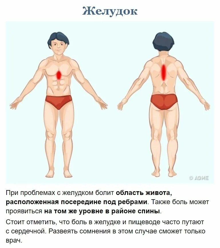 Болит вся левая сторона тела. Локализация боли печени. Локализация боли по картинке. Локализация болей при заболеваниях печени.