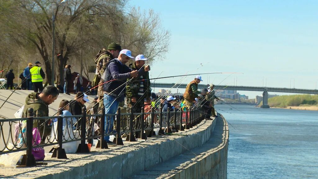 Запрет на ловлю воблы в астраханской области. Фестиваль вобла Астрахань. Рыбацкий фестиваль «вобла» 2021. Астрахань набережная 2021. Фестиваль рыбалки Астрахань.