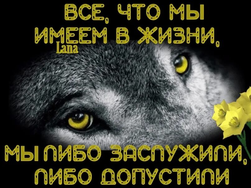 Что имеем не храним потерявши плачем картинки. Стих потерявши плачем. Поговорка потерявши плачем. Что имеем не храним.