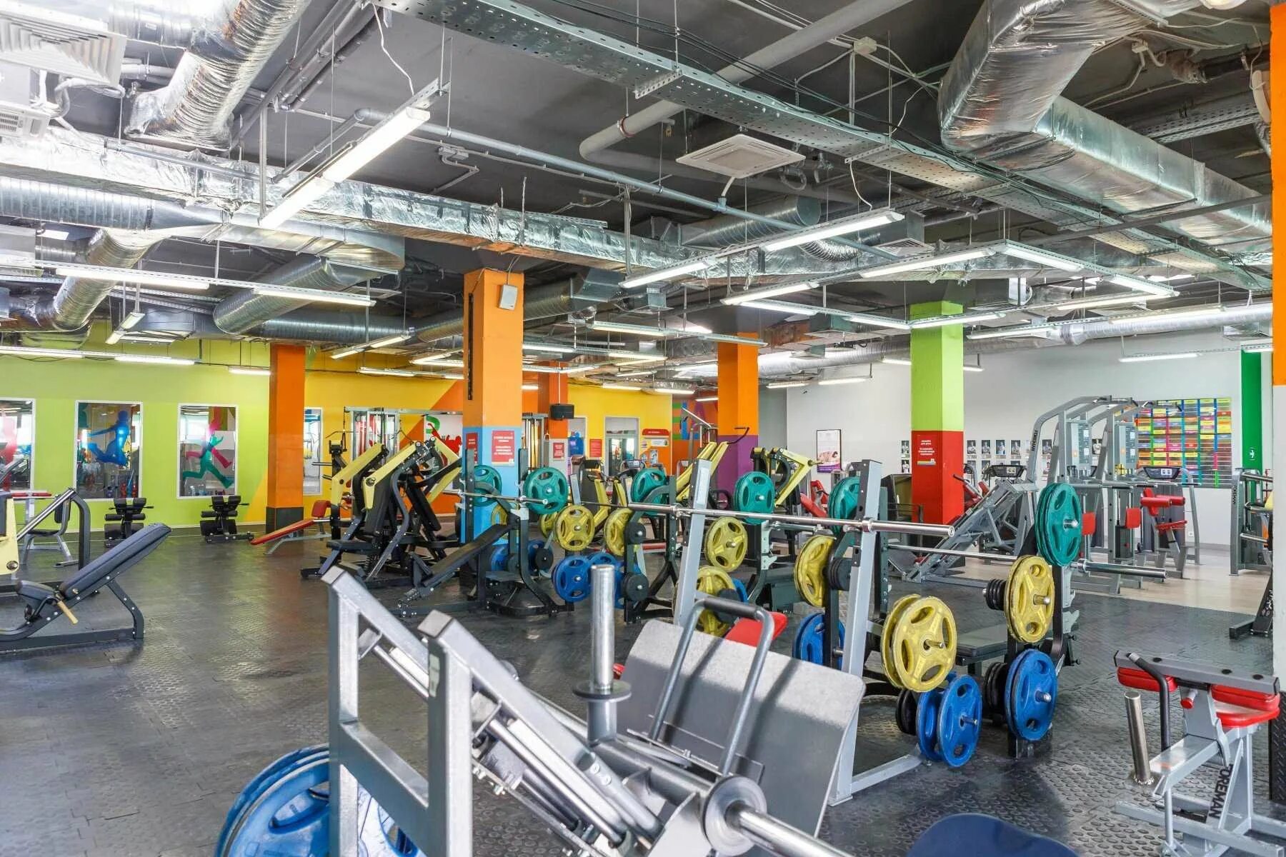 Alex fitness тушино. Сдм фитнес в тушино. Тренажерный зал alex fitness. Алекс фитнес тушино 2022. Фитнес клуб в тушино.