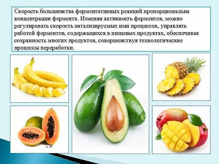Ферменты содержатся в. Ферменты в продуктах. продукты содержащие ферменты. продукты богатые ферментами. в каких продуктах содержатся ферменты.