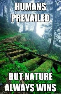 But natural