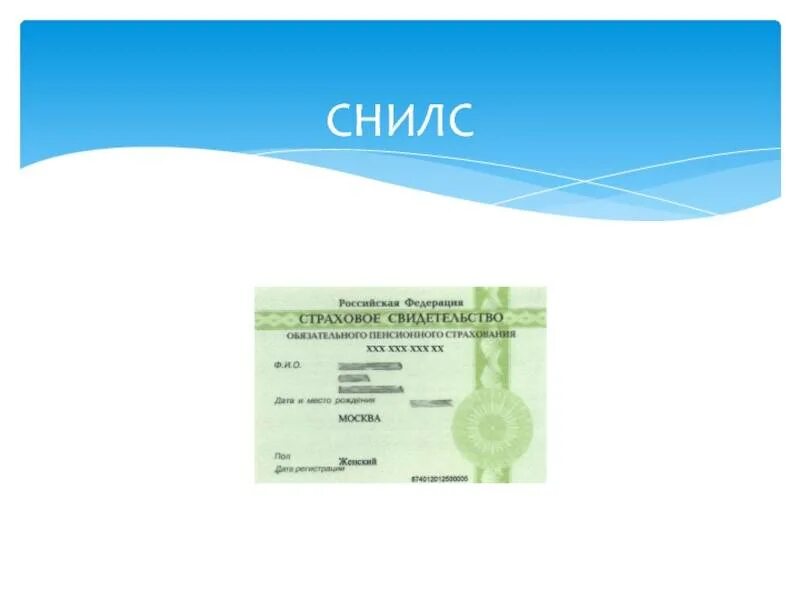 Как оформить снилс на новорожденного. Снилс. снилс рисунок. снилс иконка. снилс новорожденному.