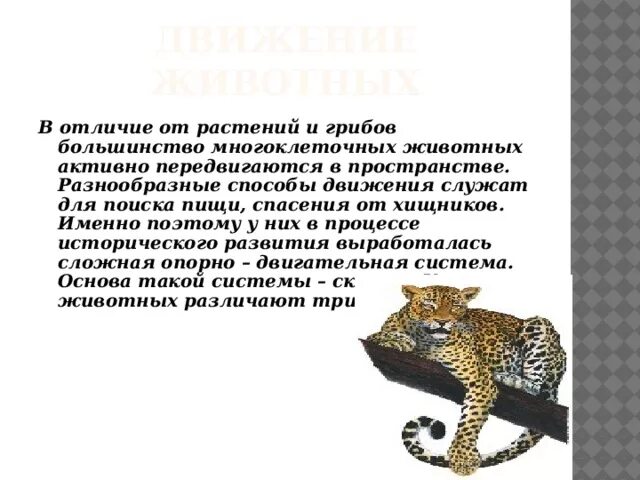 Особенности передвижения животных. Способы передвижения животных. Способы передвижения растений и животных. Способы передвижения животных презентация. Доклад о передвижении животных.