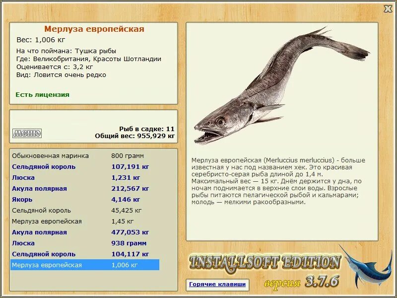 рр италия мерлуза европейская. псевдоним мерлузы 3 буквы. псевдоним мерлузы 3 буквы. рыба nasello. европейская медуза (хек).