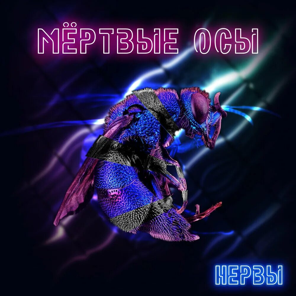 Мертвые осы водоворот. Мёртвые осы группа. Мёртвая Оса! Мёртвые осы. Мертвые осы я буду твоим