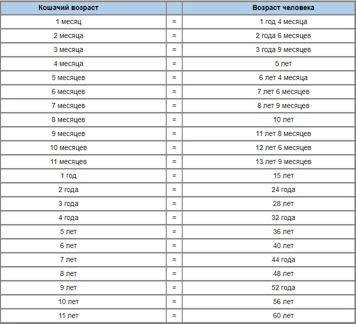 Возраст кошек в переводе на человеческий. Возраст кота по человеческим меркам калькулятор таблица. Коту 22 года по человеческим меркам таблица. Коту 6 лет сколько по человеческим меркам таблица. Возраст кошки и человека соотношение таблица.