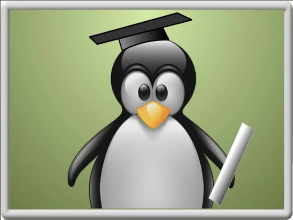 Админ линукс. Администрирование linux. линукс админ. системный администратор linux. пингвин админ.