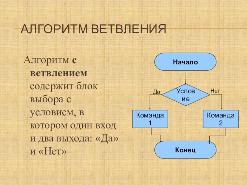 Алгоритм с условием. Алгоритм с ветвлением 4 класс Информатика. Алгоритм с ветвлением примеры. Алгоритм ветвления и выбора. Алгоритм с ветвлением содержит блок.