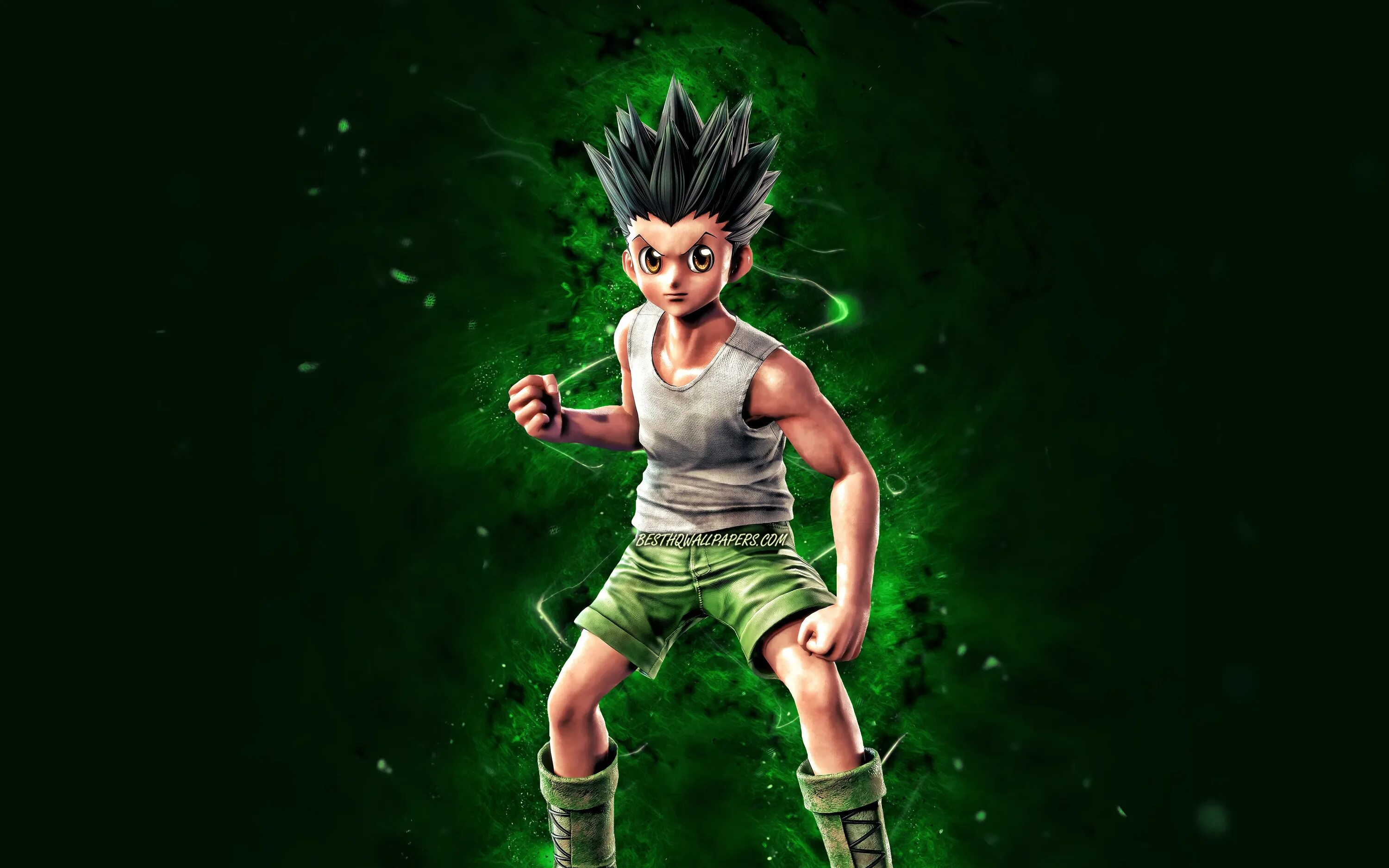 Timeskip gon. Hunter × hunter гон. Хантер х хантер аниме го. Gon freecss 1999. Что такое гон.