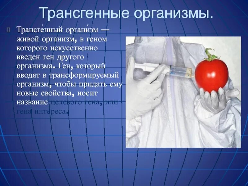Какие организмы называют гермафродитами приведите пример Тема игры "Органы растений" скачать презентацию