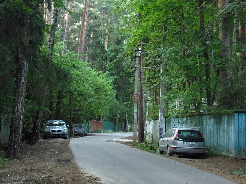 Поселок писателей Переделкино. Городок писателей Переделкино. Писательский городок в Переделкино. Переделкино дачный поселок писателей.