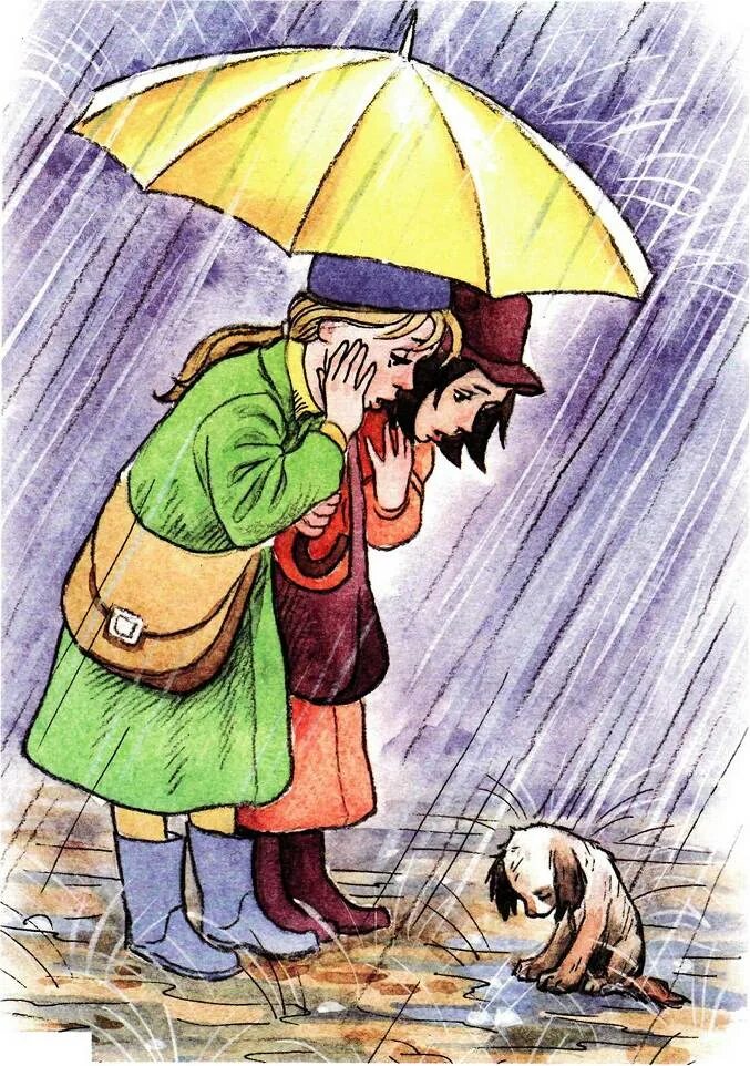 придумать рассказ по картинке. составление рассказа купили щенка. иллюстрации картинки купили щенок. составление рассказа купили щенка. составление рассказа купили щенка.