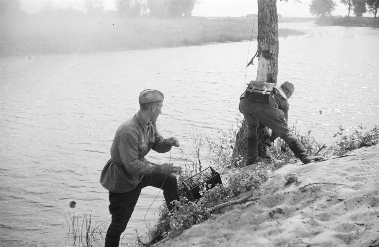 Связисты телефонисты ВОВ. Связисты ВОВ 1941 1945. Катушка связиста ВОВ. Связист РККА 1941.