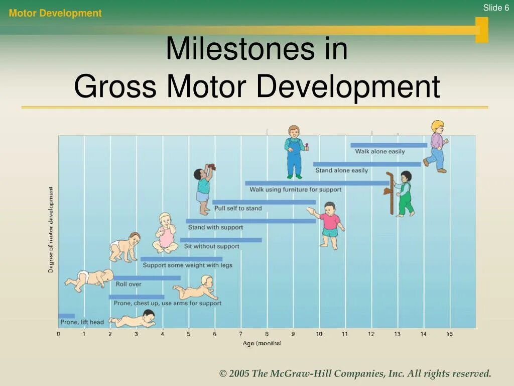 Preschooler gross motor skills. Gross motor skills. Skills examples. Gross motor. Gross motor.