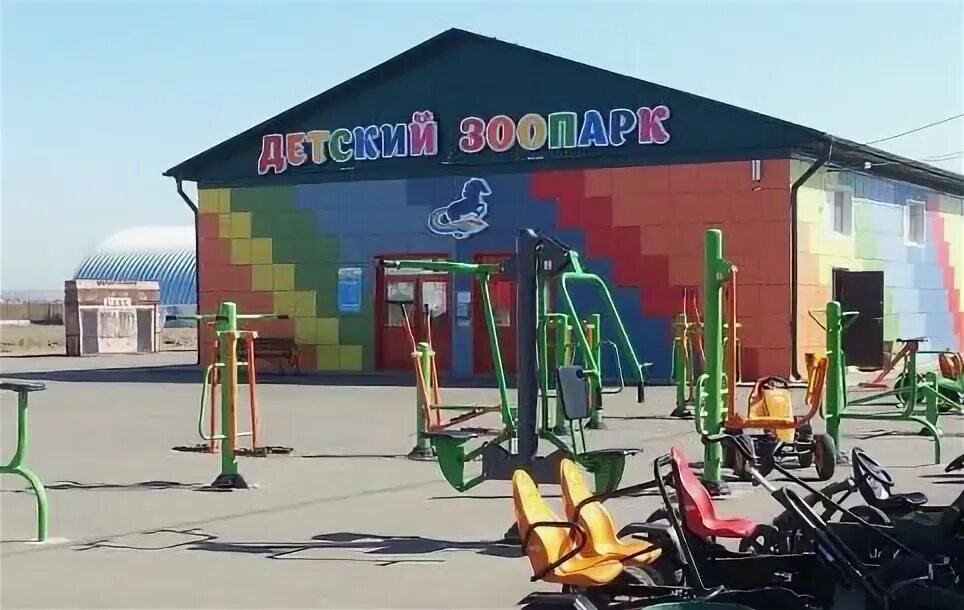 чита радужный. контактный зоопарк чита романовский тракт. чита радужный. чита радужный. полазна радужная 20.