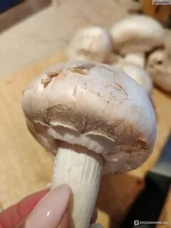Шампиньоны перед жаркой