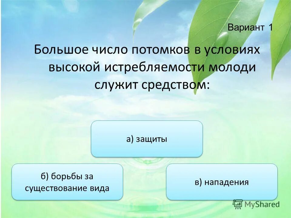 Вариант средства который ему больше. Вариант средства который ему больше. Укажите вариант ответов в которых выразитель. Приспособление организмов к внешней среде. Использование автором укажите варианты ответов.