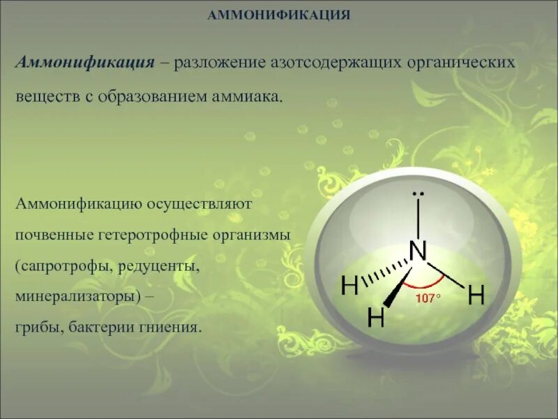 Аммонификация. Разложение органических азотсодержащих веществ. Процесс аммонификации органических азотсодержащих соединений. Процесс разложения органических веществ. Азотсодержащие вещества продукты разложения.