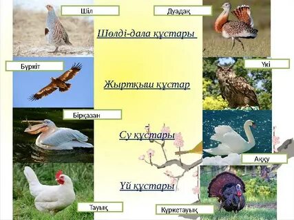 Жалаңаш әйелдің порно фотоларын қараңыз