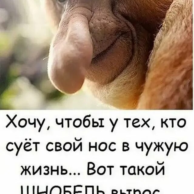 Хочу подняться