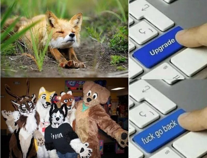 Go back extended. Мем upgrade go back. мем go back. update мем. мем с кнопкой апгрейд.