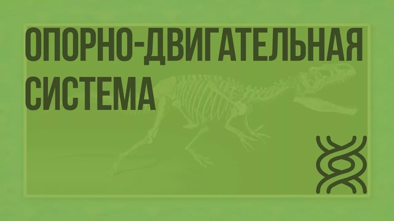 Видеоуроки биологии 11 класс. Видеоуроки по биологии. Видеоурок по биологии интересный. Видео урок биология 7 кл опорно-двигательная система. Видеоурок по биологии 7 класс.