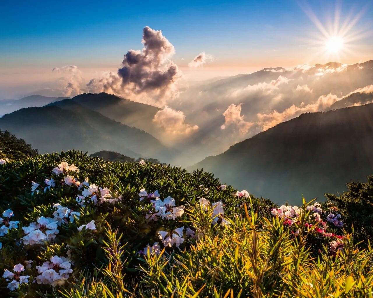 Холмы цветы. Рассвет в горах. Горы солнце. Красивый вид на горы. Природа горы.