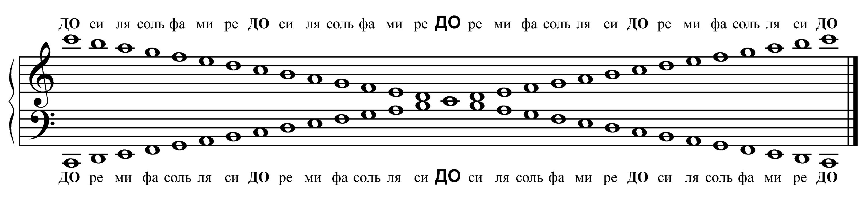 Ноты для левой руки фортепиано название. Басовый ключ расположение нот на фортепиано. Нотный стан басовый ключ фортепиано. Малая и большая Октава в басовом Ключе. Басовый ключ малая октава