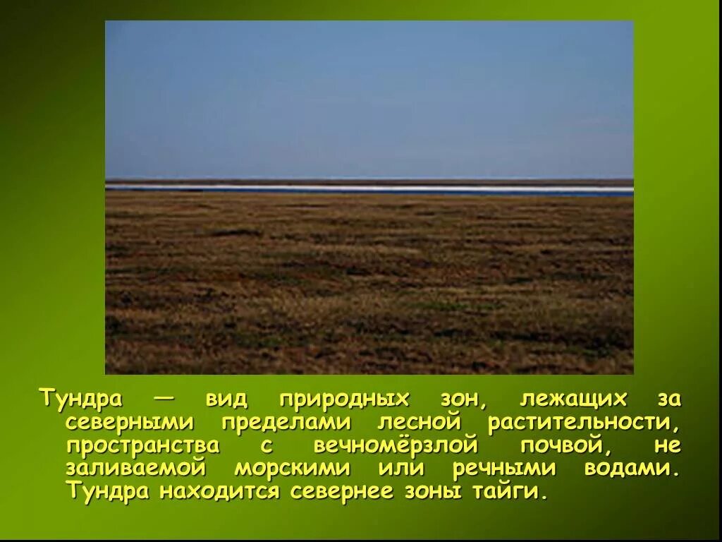 Сообщение о природной зоне 5 класс биология. Тундра вид природных зон. Природная зона тундра презентация. Презентация по теме леса тундра. Тундра слайды для презентации.