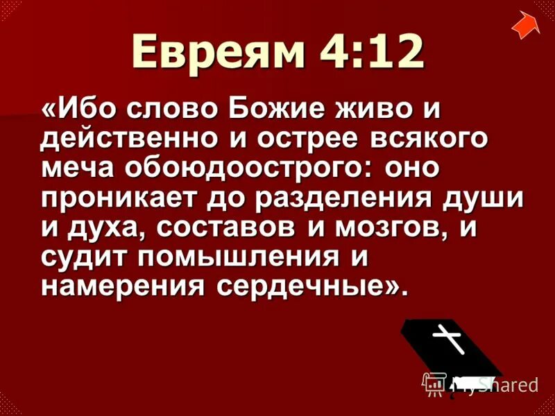 Живое слово божье. Ибо слово Божие живо и действенно. Ибо слово Божие живо и действенно и острее всякого меча. Слово Божие живо и действенно и острее всякого меча обоюдоострого. Слово Божье живо и действенно и острее меча обоюдоострого.