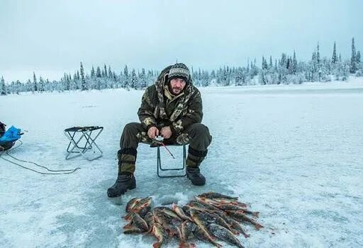 Волга. Зимняя рыбалка Собачьи портреты, Рыбалка, Фотографии