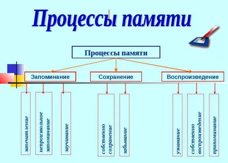 Выделите процессы памяти