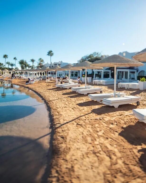 Domina coral bay отель в египте. Домина шарм-эль-шейх. Domina coral prestige. Domina туры. Domina coral bay harem 5*.