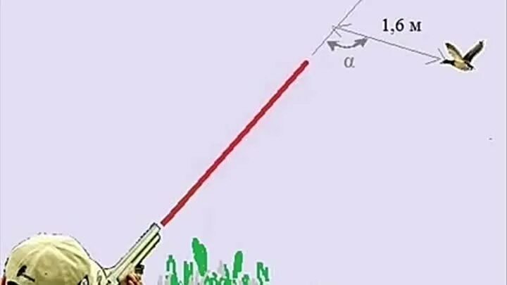 Стрельба по уткам. Стрельба по уткам. Охота на уток. Охота на уток. Упреждения на охоте.