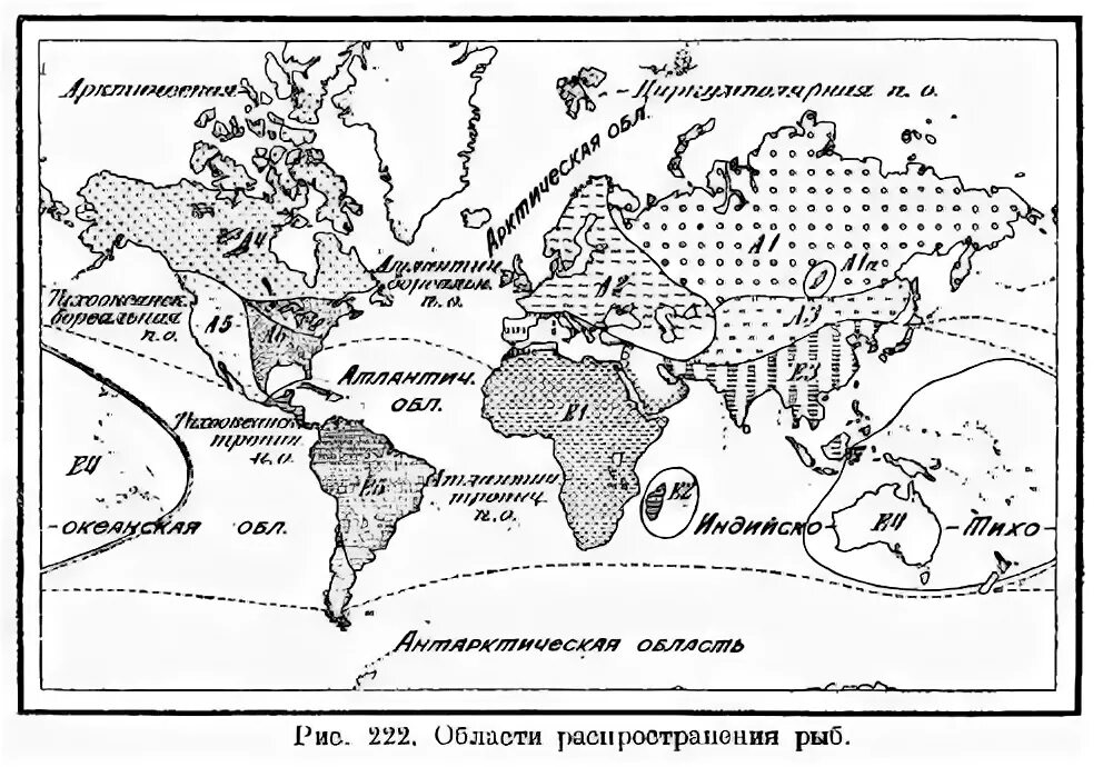 Сибирский хариус ареал. Пелядь ареал обитания. Лососевые ареал обитания карта. Презентация геликоприон. Ареал обитания осетра в россии на карте.