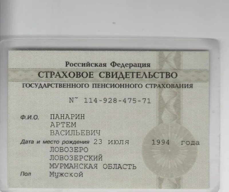 Страховой номер. Копия снилс. Страховое свидетельство умершего. Копия снилс. Страховой номер.