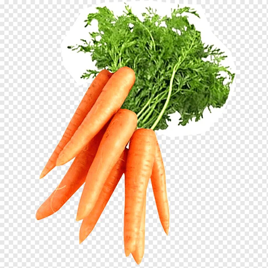 Carrot vegetable. Овощи морковь. Морковь на белом фоне. Морковь без фона. Морковь на прозрачном фоне.