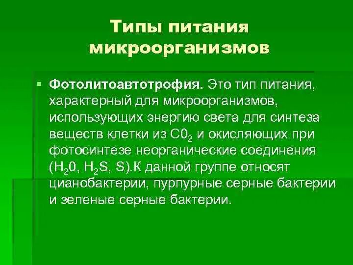 Какой тип питания характерен для большинства представителей