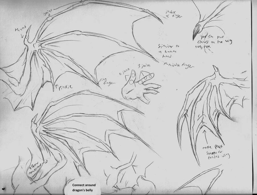 Схема крыльев дракона