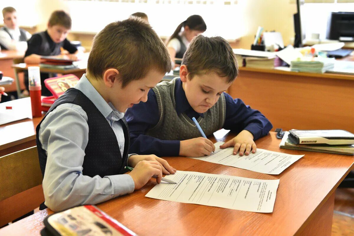 В одной из школ опросили 30. Школьники спб. Класс с учениками. Темы по вероятности и статистике 7 класс. В одной из школ опросили 30.